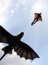 dragon 1.jpg